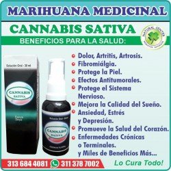 Esencia Cannabis Sativa