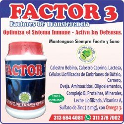 Factor 3 Factores de Tranferencia