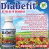 DIABEFIT