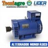 ALTERNADORES MONOFÁSICO