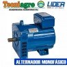 ALTERNADORES MONOFÁSICO