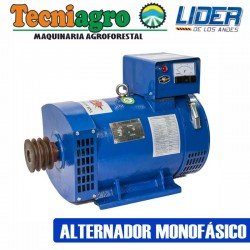 ALTERNADORES MONOFÁSICO