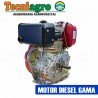 MOTOR DIESEL GAMA