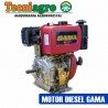 MOTOR DIESEL GAMA