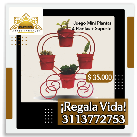 Soporte Decorativo Plantas - 4 Puestos