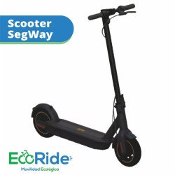 Scooter, monopatin electrico ecoride pasto 