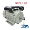MOTORES ELÉCTRICOS MONOFÁSICO 1 HP AGROMAQUINARIA SG