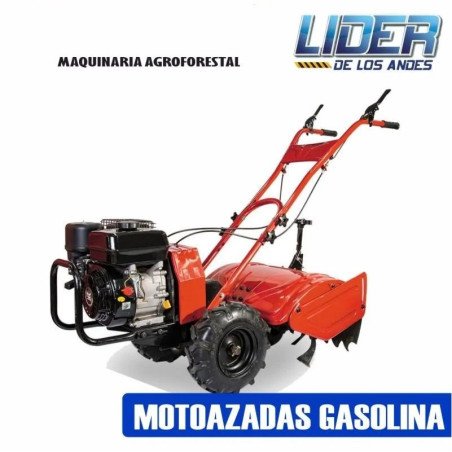 MOTOAZADA MOTOAZADA
